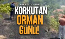Zonguldak’ın Beldesinde  Korkutan Orman Yangın!