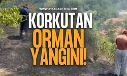 Zonguldak’ın Beldesinde Korkutan Orman Yangın!