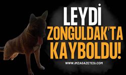 Zonguldak Belediyesi Arıtma Tesisinden Kayboldu: "Leydi" Aranıyor