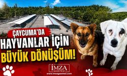 Çaycuma'da Hayvanlar İçin Büyük Dönüşüm!