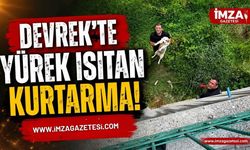 Devrek'te Yürek Isıtan Kurtarma!