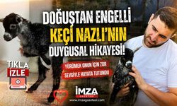 Doğuştan Engelli Keçi Nazlı'nın Duygusal Hikayesi!