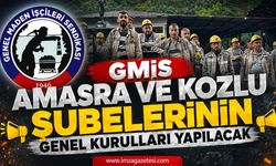 GMİS, Amasra ve Kozlu Şubelerinin Genel Kurulları Yapılacak