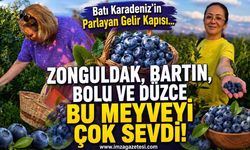 Batı Karadeniz'in Parlayan Gelir Kapısı... Zonguldak, Bartın, Bolu ve Düzce Bu Meyveyi Çok Sevdi!
