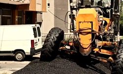 Bu Yıl 45 Ton Kaplanacak!