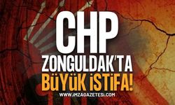 CHP Zonguldak'ta İstifa Depremi Devam Ediyor!