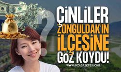 Çinli Yatırımcılar Zonguldak'ın İlçesine Göz Koydu