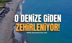 O Bölge Vatandaşa Plajları Zehir Etti!