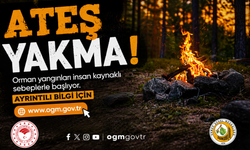 Zonguldak Valiliği Uyardı: Doğada Ateşle Oynama Geleceğimizi Koru