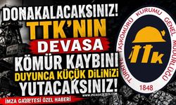 Donakalacaksınız! TTK’nın Devasa Kömür Kaybını Duyunca Küçük Dilinizi Yutacaksınız!