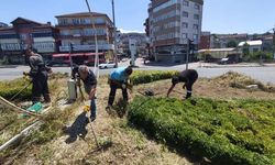 Beldede Temizlik!