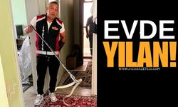 Evde Yılan Paniği! Yakalanan Yılan Bırakıldı! Neden?