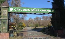 Makinalı Arazi Hazırlığı, Dikenli Tel İhata İşi ve Fidan Dikim İşi hizmet alımı