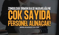 İŞKUR Üzerinden Zonguldak'a 121 Personel Alınacak! İşte Orman Bölge Müdürlüğü Başvuru Ekranı ve Kontenjanlar