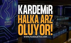 Kardemir Çelik Sanayi A.Ş. Halka Arz Oluyor! İşte Hisse Fiyatı, Lot Miktarı ve Taslak İzahname Detayları