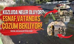 Kozlu'da Neler Oluyor? Esnaf, Vatandaş Çözüm Bekliyor!