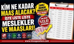 Kim Ne Kadar Maaş Alacak? İşte Liste Liste Meslekler ve Maaşları!