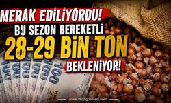 Merak Ediliyordu! Bu Sezon Bereketli 28-29 Bin Ton Bekleniyor!