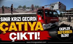 Sinir Krizi Geçirdi Çatıya Çıktı!