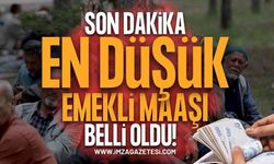 SON DAKİKA: En Düşük Emekli Maaşı Belli Oldu! TBMM Komisyonu'ndan Onay Çıktı