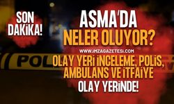 SON DAKİKA: Zonguldak Asma Mahallesi'nde Hareketli Gece! Çok Sayıda Ekip Bölgeye Sevk Edildi