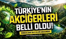Türkiye'nin Akciğerleri Belli Oldu! Zonguldak da O İller Arasında!