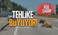 Vatandaşlardan Yetkililere Acil Çağrı! Tehlike Büyüyor!