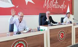 Meclisten İki Önemli Karar Birden! Zonguldak'ta Köylere Yeni Yatırımlar Geliyor