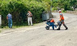 Zonguldak Belediyesi Özenle Tıraşlıyor!