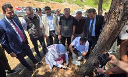 Faydalı Böcekler İş Başında!