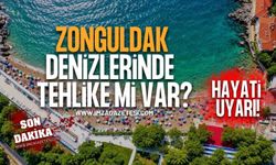 Zonguldak Denizlerinde Tehlike Mi Var?