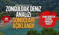 Zonguldak Deniz Analiz Sonuçları Açıklandı! Hangi Plajlar Güvenli, Hangilerine Girmek Yasak?