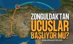 Zonguldak Havalimanı'nda İç Hat Heyecanı: Antalya ve Trabzon Uçuşları Başlıyor Mu?