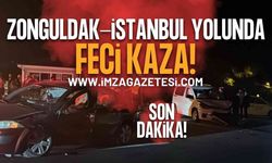 Zonguldak İstanbul Yolunda Feci Kaza: Yaralılar Var