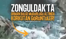 Zonguldak Orman Bölge Müdürlüğü Altında Tehlikeli Görüntüler!