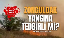 Zonguldak’ta Orman Yangınlarına Karşı Tedbir Alındı Mı?