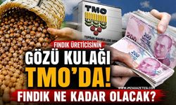 Fındık Üreticisinin Gözü Kulağı TMO’da! Fındık Ne Kadar Olacak?