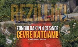Zonguldak'ın İlçesinde Çevre Katliamı: Bu Ne Rezillik?