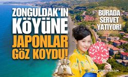 Zonguldak'ın Köyüne Japon Yatırımcılar Göz Koydu!