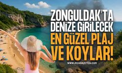 Zonguldak'ta Denize Girilecek En Güzel Plaj ve Koylar