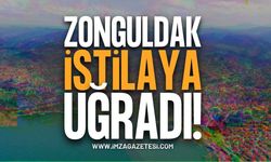 Zonguldak’ta Dev Çekirge Paniği: İstilaya Mı Dönüşüyor? Bakanlıktan Açıklama Geldi!
