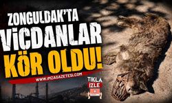 Zonguldak'ta Vicdanlar Kör Oldu!