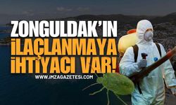 Zonguldak'ta Yaz Kabusu: Böcek ve Sinek Sayısındaki Artış Vatandaşı İsyan Ettirdi! "Acil İlaçlama Şart"