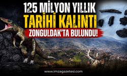 125 Milyon Yıllık Tarihi Kalıntı Zonguldak'ta Bulundu!