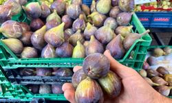Zonguldak’taki Manavda Kanserden Koruyan Meyve Görücüye Çıktı!