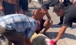 Kozlu’da Balıkçılardan Sezon Öncesi Kurbanlı Dua