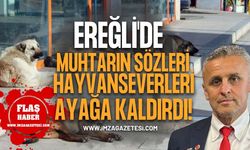 Ereğli'de Muhtarın Sözleri Hayvanseverleri Ayağa Kaldırdı!