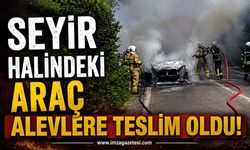 Seyir Halindeki Araç Alevlere Teslim Oldu!