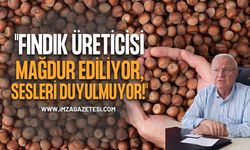 İYİ PARTİ’Lİ ERKMEN: "FINDIK ÜRETİCİSİ MAĞDUR EDİLİYOR, SESLERİ DUYULMUYOR!"