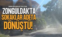 Zonguldak'ta Sokaklar Adeta Tarlaya Dönüştü!